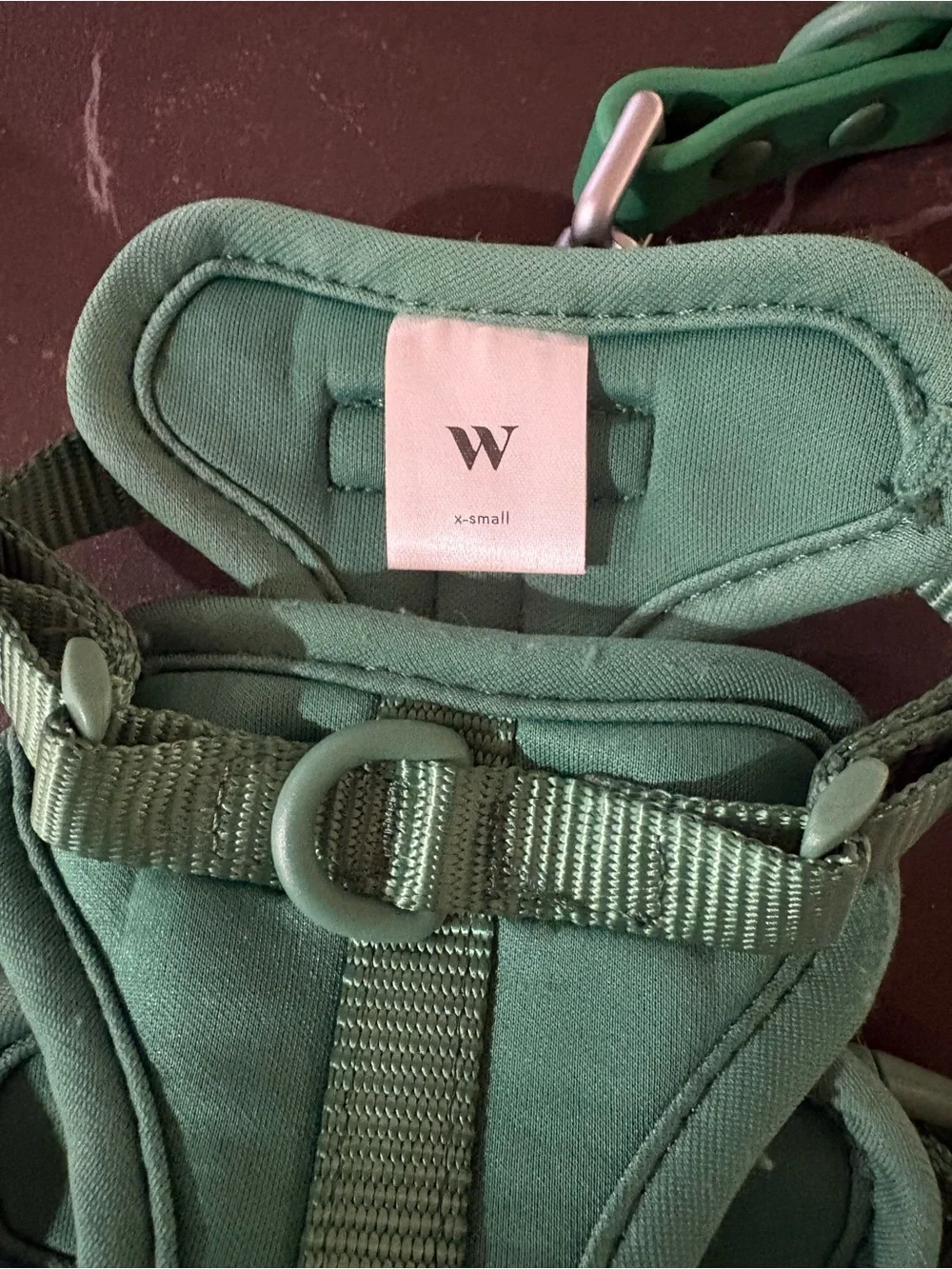 Wild One XS harness/leash set in color Spruce